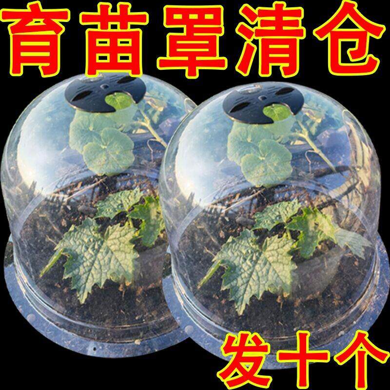 园艺蔬菜保温育苗罩塑料透气种植保护幼苗防冻防鸟植物闷养恒温