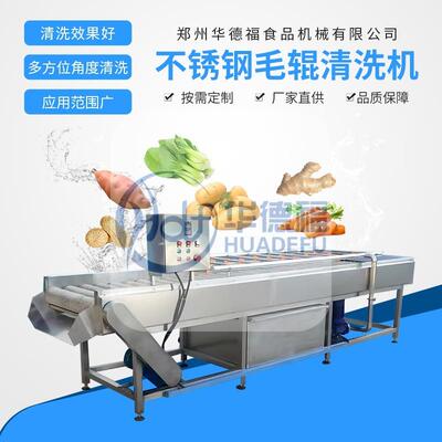 工业用生姜洋葱清洗机全自动毛辊清洗去皮机净菜加工流水线