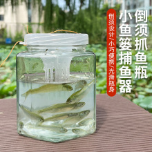 加厚倒须小孩抓鱼瓶玻璃捕鱼瓶儿童抓麦穗鱼鳑鲏小鱼瓶捕鱼工具