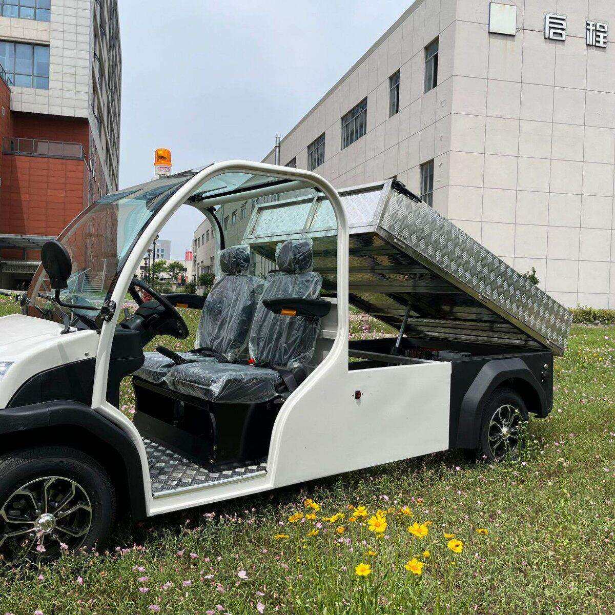 电动货车两座电动皮卡车厢式货车自动翻斗货车厂区电动搬运车