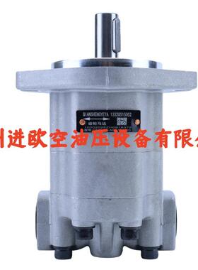 GM5-20-AFE13S-20 液压泵GM5系列 单向定量油泵 工程机械液压系统
