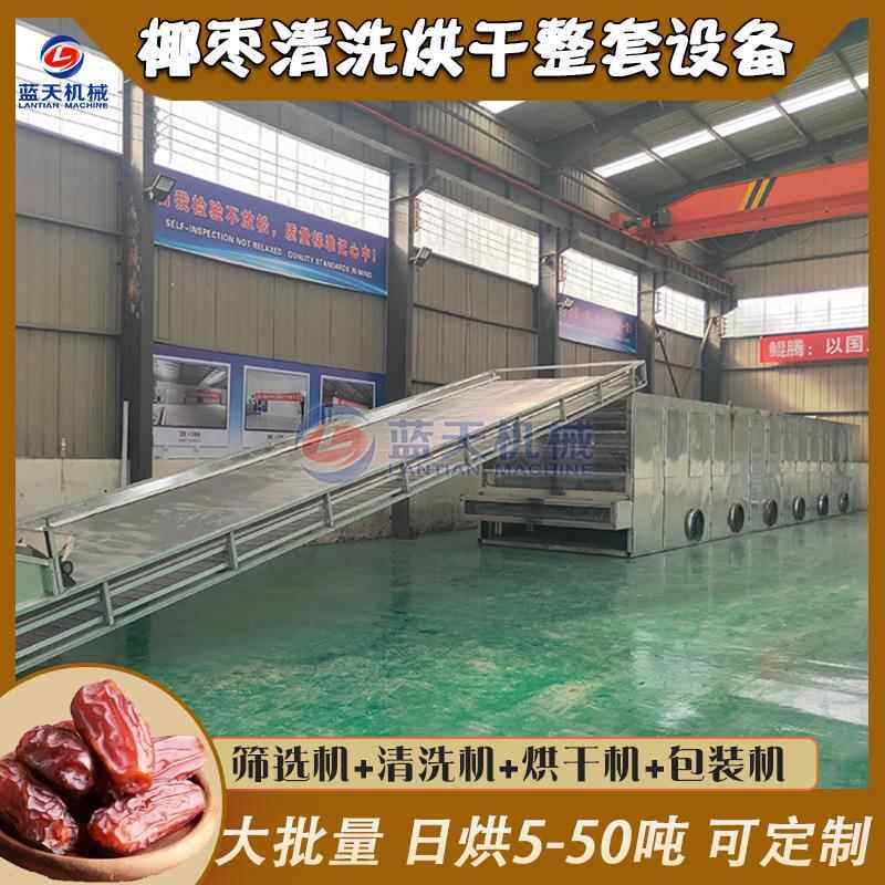 椰枣烘干机 全自动椰枣筛选清洗烘干包装生产线 海枣番枣烘干设备