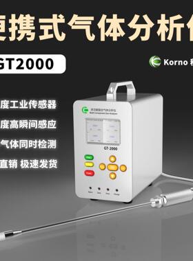 GT2000氮氧化物泵吸式手提氮氧化物分析仪烟气尾气熏蒸气分类