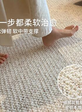 感羊毛地毯现代简约风JRE20251高轻奢级素色编2织205新款客厅地毯