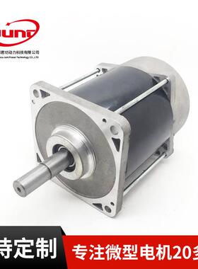 双出轴直流电机双出轴混合式电机59D56C401-02电机