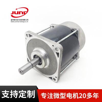 双出轴直流电机双出轴混合式电机59D56C401-02电机