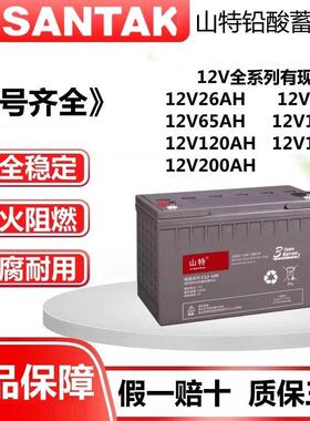 山特铅酸蓄电池C12V100AH65AH38AH26HA18AH120AH200ah机房储能