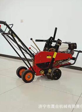 天然种植草坪机起草皮汽手推式油起草机  草坪基地D2501101铲草机