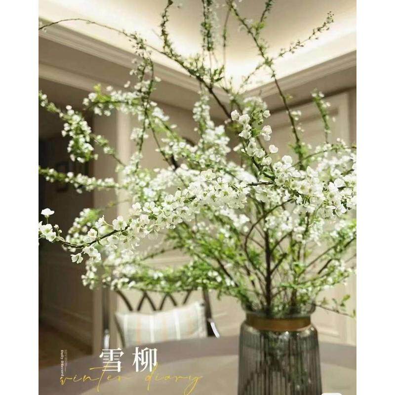 办公室绿植雪柳鲜干枝水养2周泡水开花~客厅水培重瓣雪柳龙柳