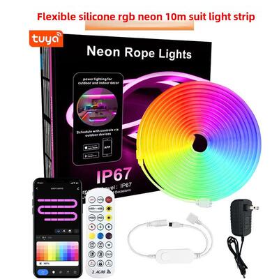 12V LED Strip Neon Lights Tuya Smart Life WiFi Bluetooth RGB