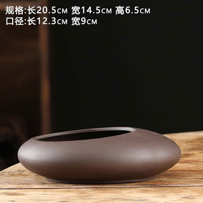 水培花盆叶莲铜钱金钱水仙花瓶