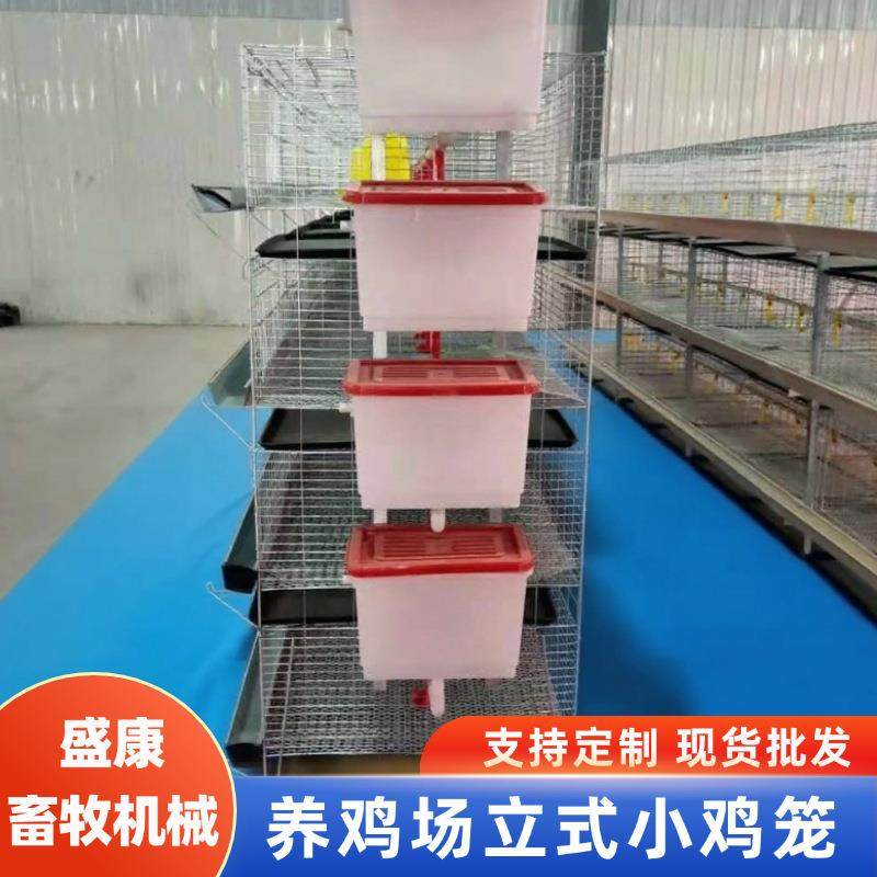 养殖场育雏笼小鸡笼立体式左右拉门镀锌丝带水箱鸡舍家禽鸡笼子