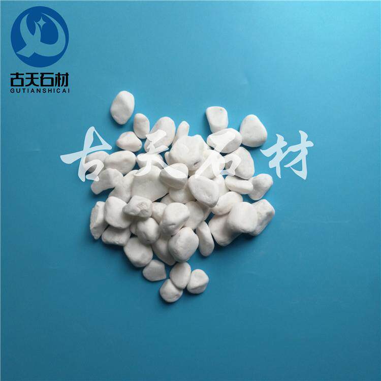鱼缸花盆养花用白色鹅卵石 园林园艺用白鹅卵石 白石子3-5cm