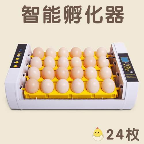 小鸡孵化器24枚鸡蛋孵化机智能家禽孵蛋器孵化设备禽业