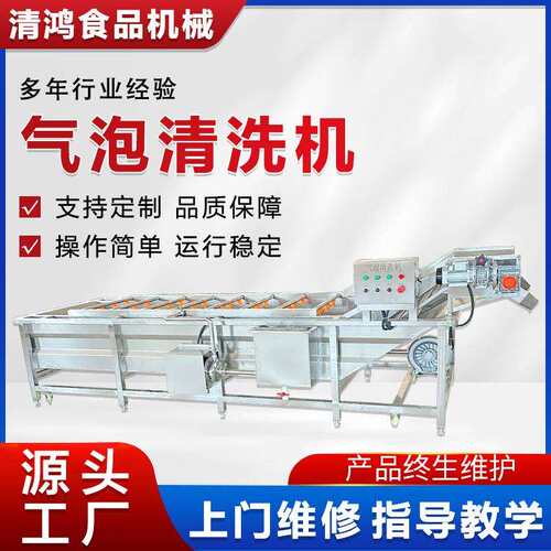 自动化杨梅草莓气泡清洗机桑葚水果清设备厂家荔枝芒果清洗流水线