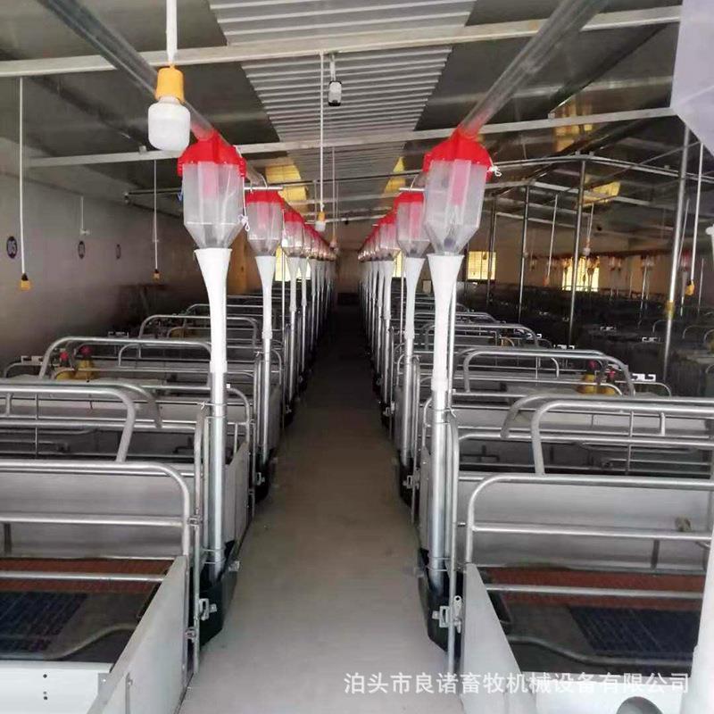 养猪自动料线 养殖场新设备自动喂料线 自动化喂料系统