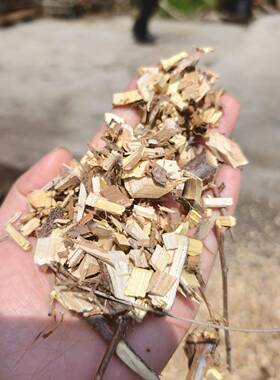 柴油机家用铡草揉搓机 干湿两用产量 青贮牧草饲料切草机