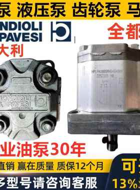 BONDIOLI齿轮泵HPLPA 160 331 136 206 208 214 DMNG DDDG DW4G E