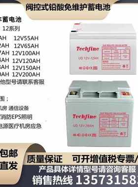 Techfine泰琪丰蓄电池UD12V7AH12A24A38A40A65A100A120A150A直流