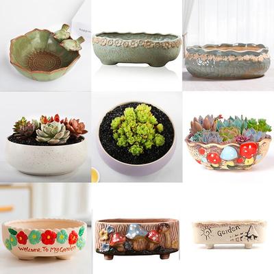 简约拼盘多肉植物花盆陶瓷创意个性小粗陶透气专用大口径新款网红