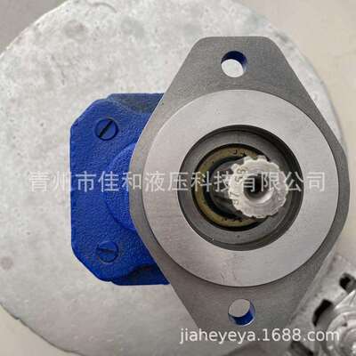 P124B182XDZA15-54PBZA02-1厂家供应泊姆克齿轮油泵