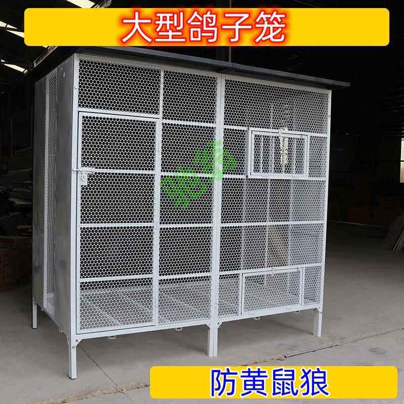 yut养鸽子专用笼子特大号信鸽公棚放飞笼训放笼室外防雨防鼠防黄