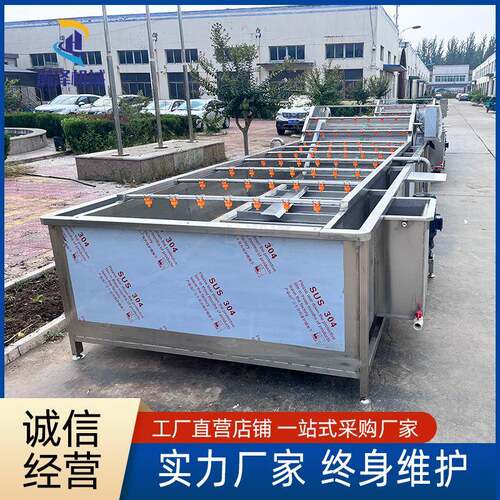 果蔬气泡清洗机水果生蚝清洗设备全自动大型商用现货海参清洗机