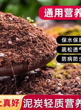 营养土养花种菜泥炭土专用的有机种植土通用型基质腐殖土花土土壤