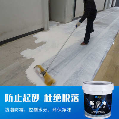 粤信多功能斯拿水界面剂墙固桥梁混凝土内外墙防腐抗碱环氧封闭底