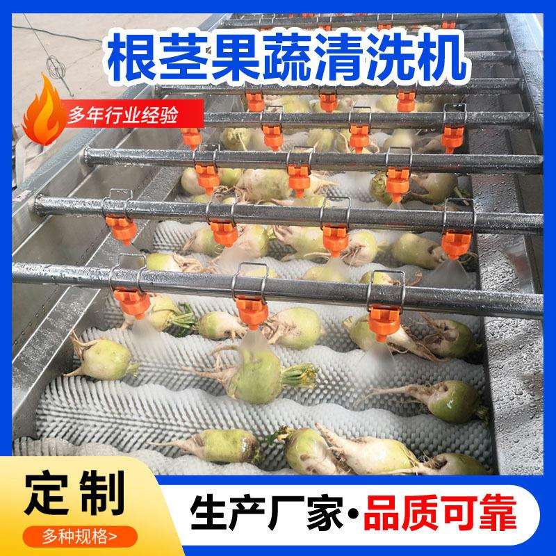 商用果蔬清洗机肉苁蓉毛刷清洗机全自动人参果毛辊清洗机洗果机
