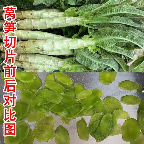 厂家热销滚刀式切丝切片机 辣椒切圈机 不锈钢秋葵切块机