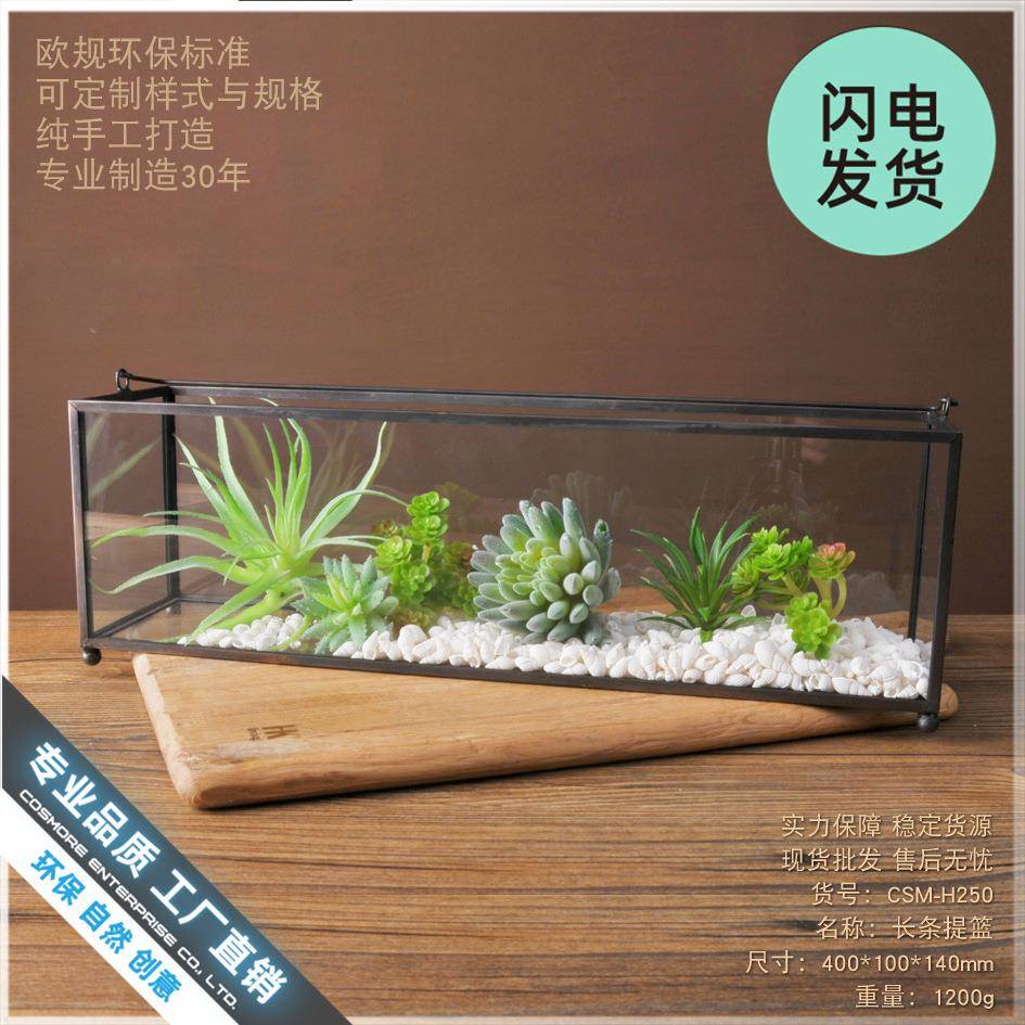 欧式居用品摆件玻璃花CSM-H250态房多家肉植物花生盆绿植透明微景