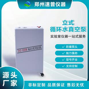 现货供应SHZ 循环水真空泵无油静音高真空化工抽滤脱气 95B立式