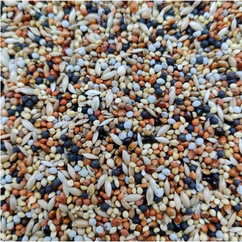 鸟食七彩文鸟玉鸟珍珠十姐妹芙蓉麻雀雀类等小型鸟儿混合粮白苏子
