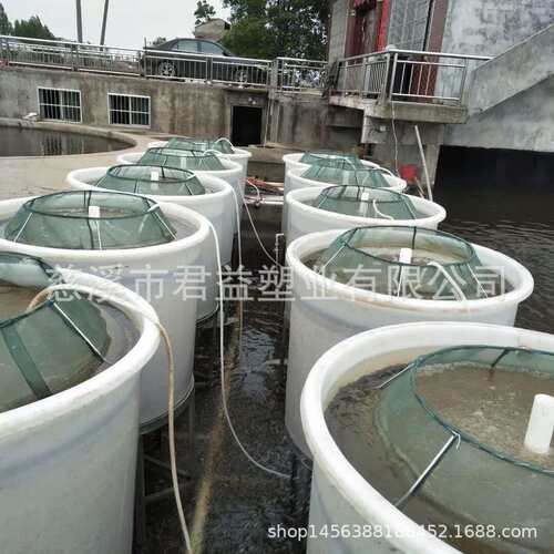 重庆对虾养殖桶，直径1.5米，高度1.2米养殖桶