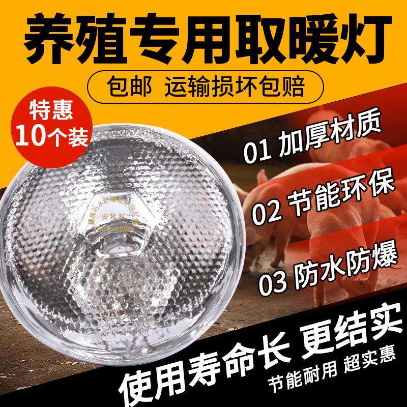 保温灯猪用仔猪保暖灯小鸡育雏保温灯养殖场专用取暖灯泡加热烤灯