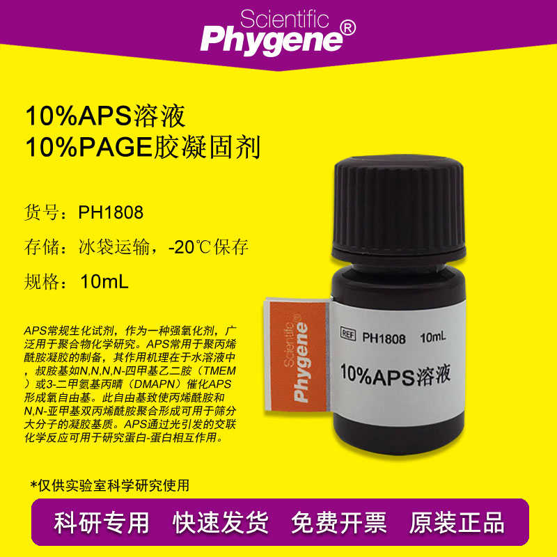 10%AP/APS溶液 10%PAGE胶凝固剂 10mL[PH1808 PHYGENE]