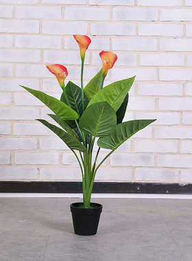 花绿色植红掌新款茶楼树假装饰塑料餐饮仿真植物马蹄莲盆栽假盆景