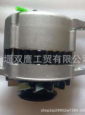 供应洋马119573-77201船机救生艇快艇游艇交流发电机12V 80A