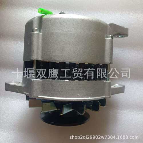 供应洋马119573-77201船机救生艇快艇游艇交流发电机12V 80A