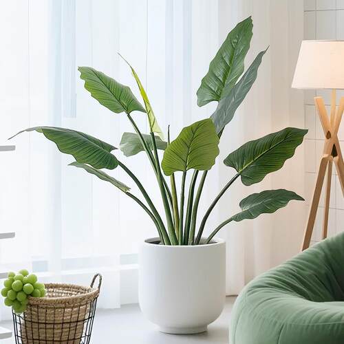 仿真绿植绿帝王室内大型假植物盆栽客厅服装店落地造景装饰龟背竹