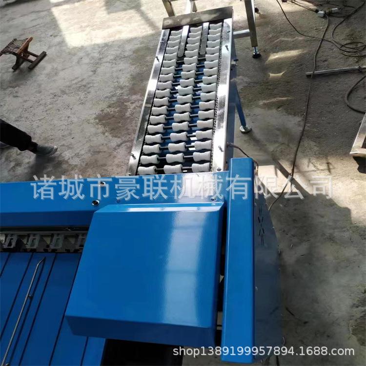 鸡蛋分级机 鸡蛋按重量个头分级 可配套光检检测鸡蛋内部质量