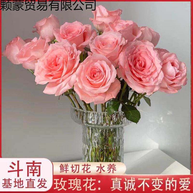 玫瑰鲜花碎冰蓝真花艾莎玫瑰花束香槟520情人节基地直发