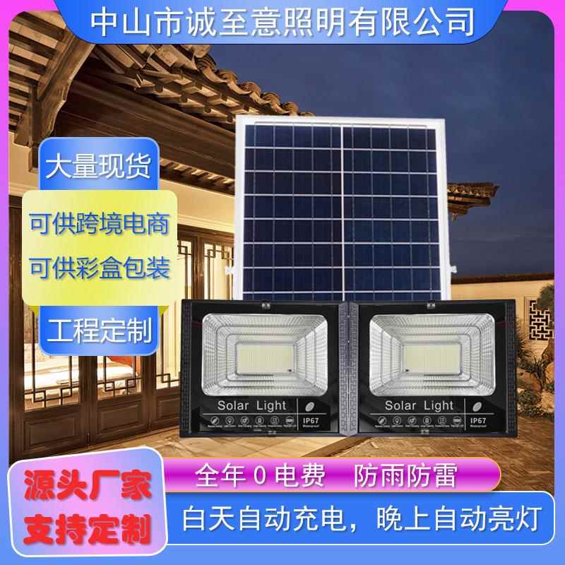 一拖二太阳能投光灯庭院灯led灯超亮路灯工厂大太阳能灯