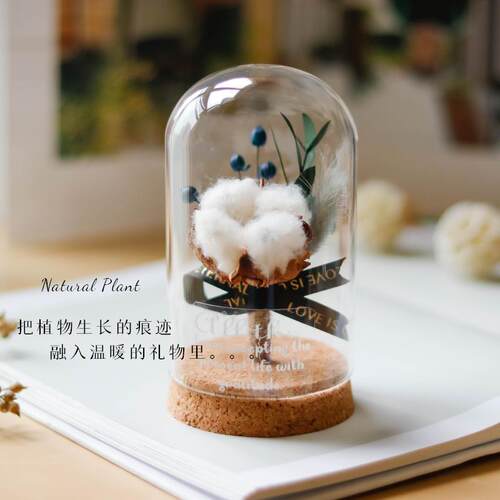永生花棉花植物干花玻璃罩生日礼物桌面摆件教师节母亲节礼品装饰
