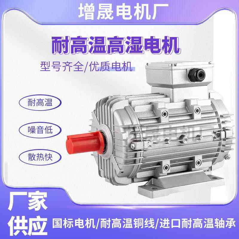 耐高温高湿三相电机 MSW100L2-4 3KW锥轴 高温电机 烤房电机