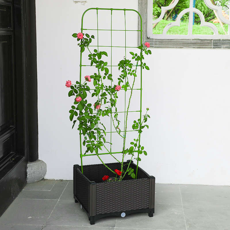 爬藤植物花支架网格造型花屏架子阳台盆栽绿植月季牵牛花攀援牵引