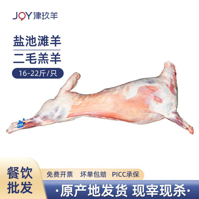 宁夏盐池滩羊二毛羔羊白条羊羊胴体全羊整只小羔羊烤全羊烧烤食材
