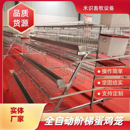 A型阶梯蛋鸡笼源头厂家三层四门阶梯蛋鸡笼热镀锌鸡舍家用养殖场