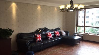 栢菲莱沙发怎么样极度喜欢感受反馈